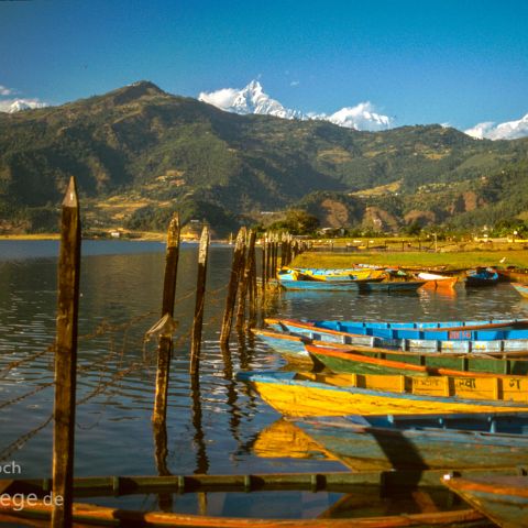 Nepal 010 Lake Pokhara, Nepal