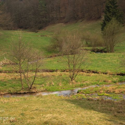 naturbelassener Bachlauf Bachaue im Haferlohrtal, Spessart, Hessen, Deutschland, Germany