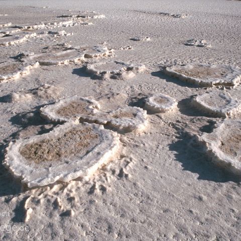 Sehnsuchtsorte unserer Welt 006 Salz so weit das Auge reicht in San Viscaino - Ojo de Liebre, Baja California, Mexiko, Mexico