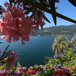 Piemont - Bilder - Sehenswürdigkeiten - Fotos - Pictures - Blog Faszinierende Reisebilder vom Gardasee, Comersee, Iseosee, dem Lago Maggiore Ostufer und natürlich von der Hauptstadt...