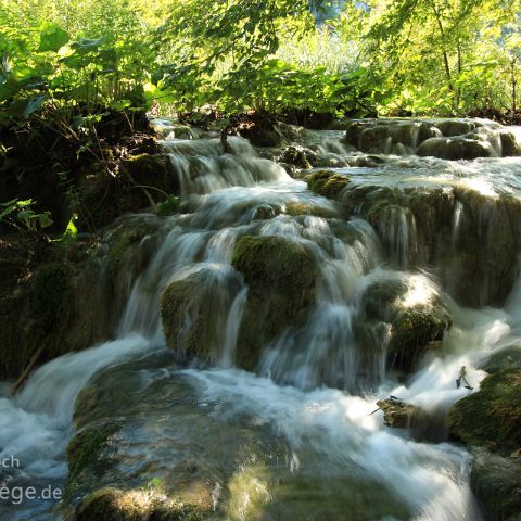 Nationalpark, Plitvicer Seen / Plitvicka Jezera, Hrvatska, Kroatien, Croatia Nationalpark, Plitvicer Seen / Plitvicka Jezera, Hrvatska, Kroatien, Croatia
