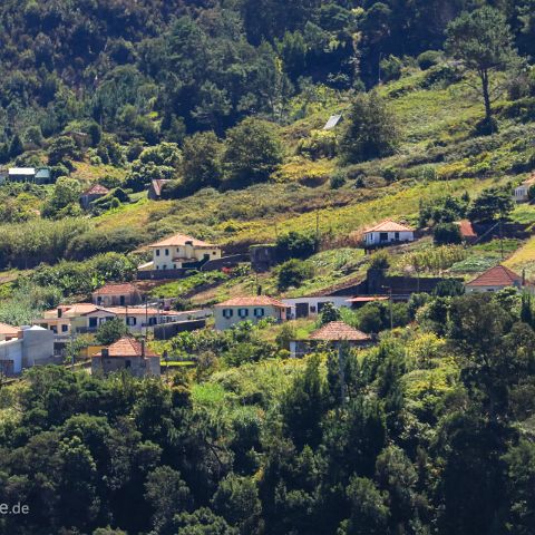 Madeira 004 Terrassenfelder und Wohnhäuser bei Faial