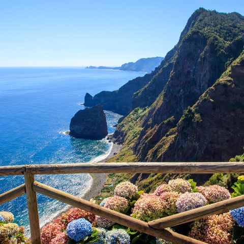 Madeira 006 Der Balkon vom Mirador do Navio mit blühenden Hortensien gehört zu den Schönsten auf der Insel