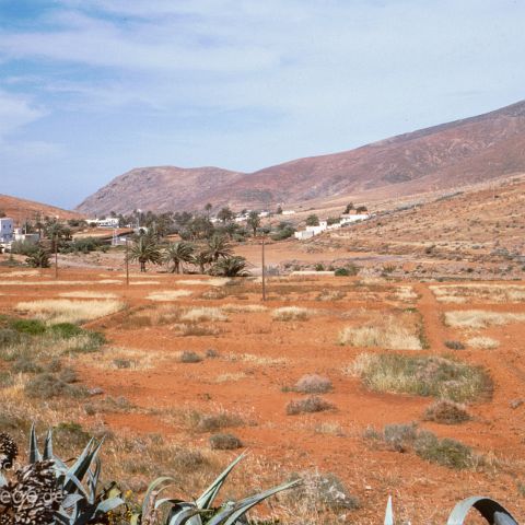 Fuerteventura 002 Fuerteventura, Kanaren, Canary Island, Islas Canaria, Spanien, Espana, Spain